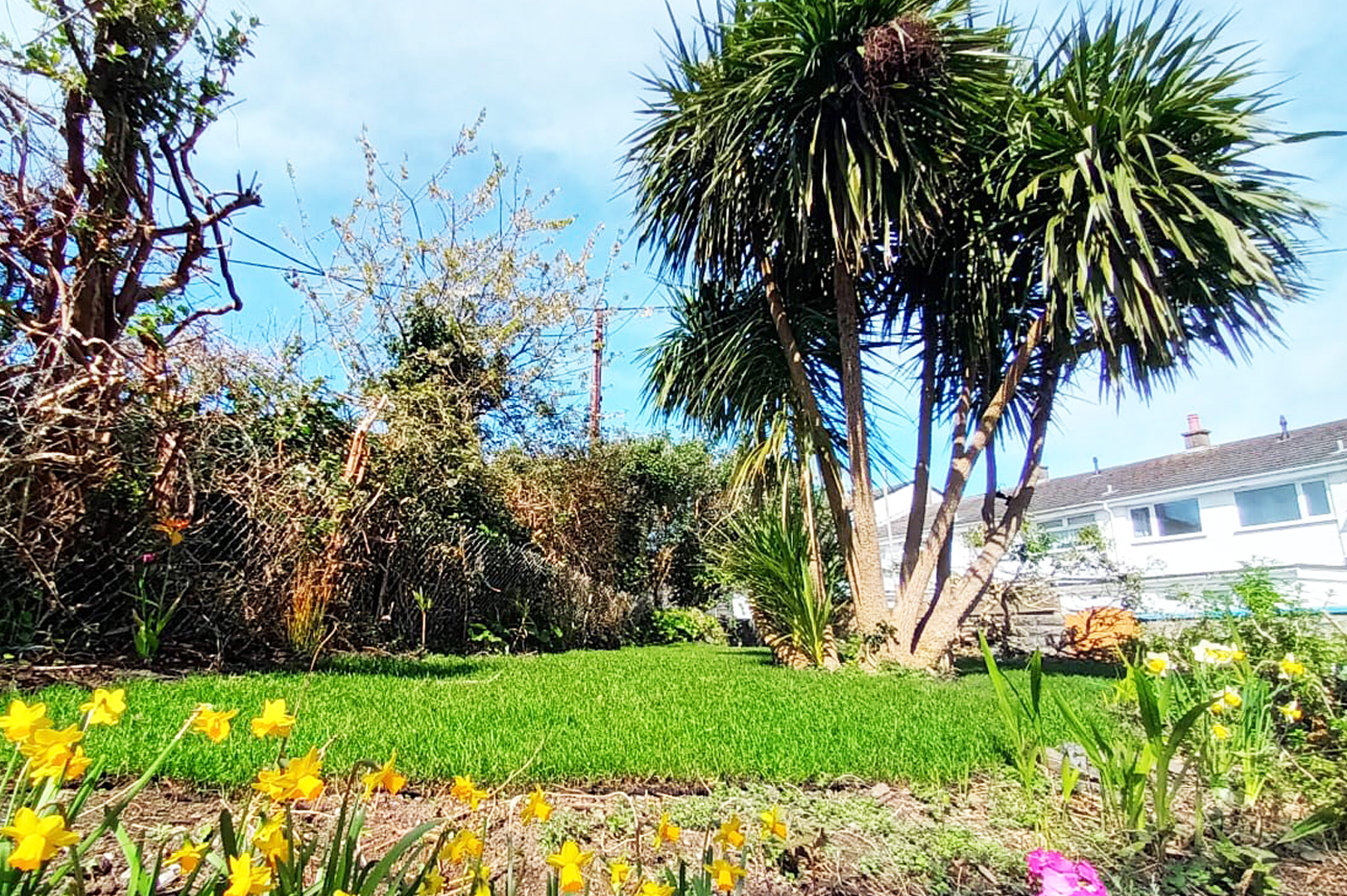Private garden